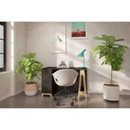 Nexera Atypik 2 Drawer Desk Black/Birch Plywood: Lacquered MDF, Open Storage Shelf, Adult Assembly Required