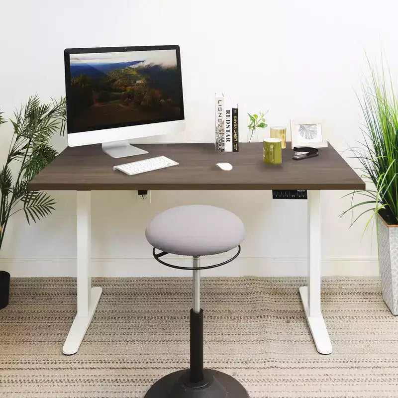 Dual Motor Electric Standing Desk with 55-Inch Tabletop