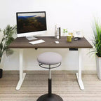 Dual Motor Electric Standing Desk with 55-Inch Tabletop
