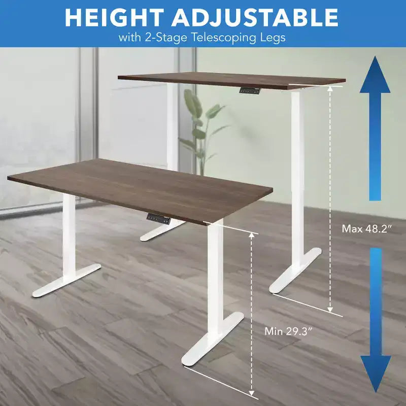 Dual Motor Electric Standing Desk with 55-Inch Tabletop