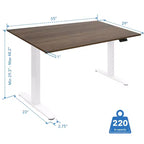 Dual Motor Electric Standing Desk with 55-Inch Tabletop